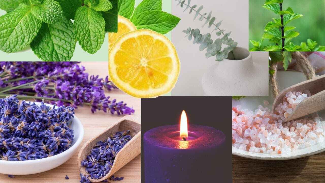 best natural organic air freshener to purify home(Top 7)