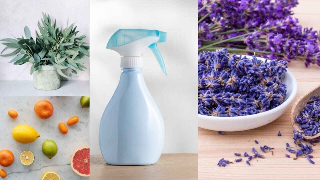 BEST NATURAL ORGANIC AIR FRESHENER