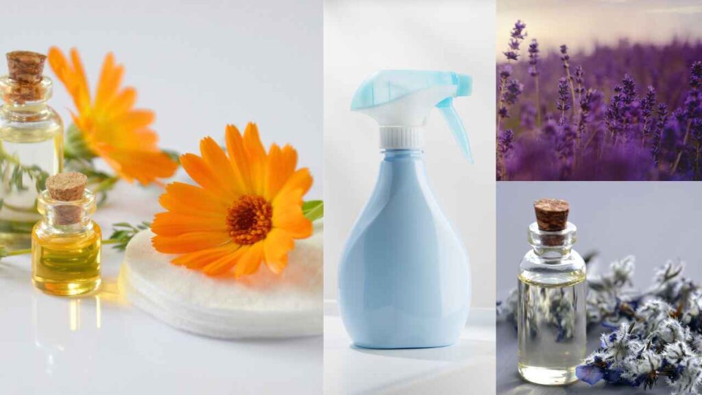 Best natural organic air freshener