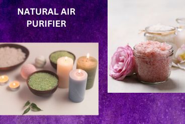 natural air purifier