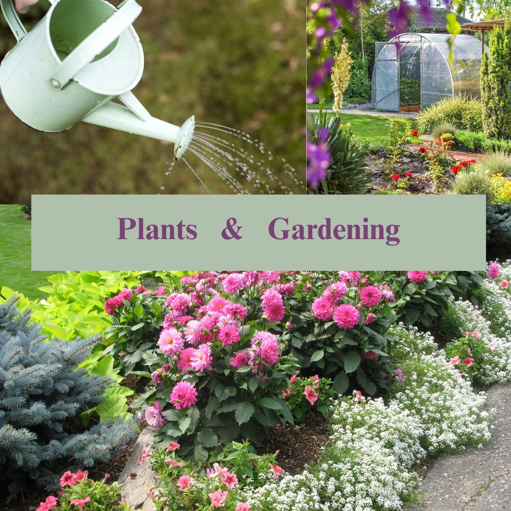 Plants & Gardening: A Complete Guide to Cultivating Green Spaces and Earning Money