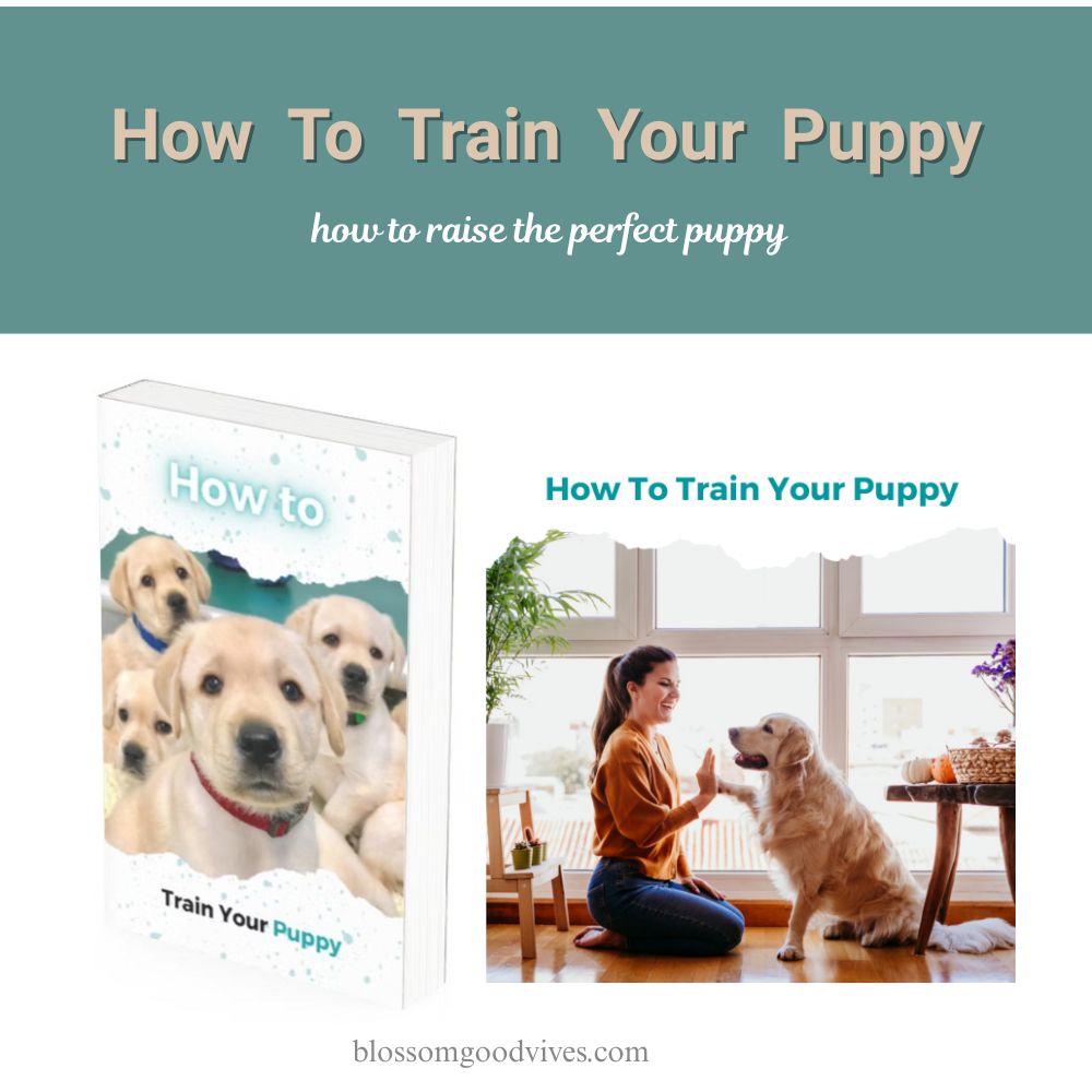 How To Train Your Puppy