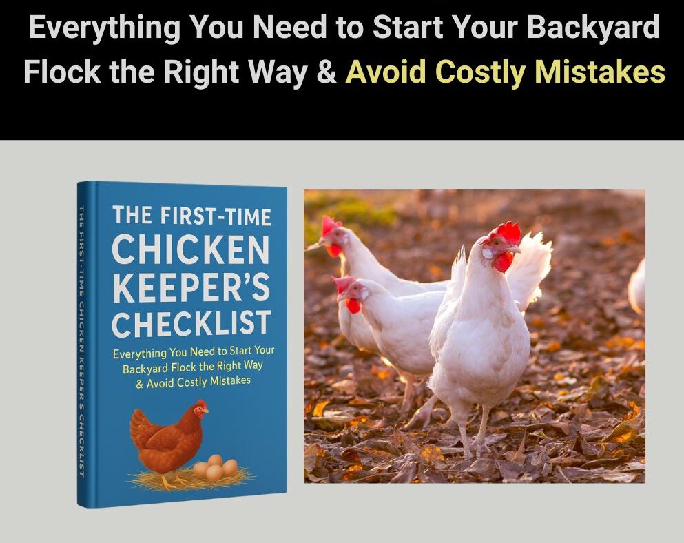 The First-Time Chicken Keeper's Checklist: Everything You Need to Start Your Backyard Flock the Right Way & Avoid Costly Mistakes